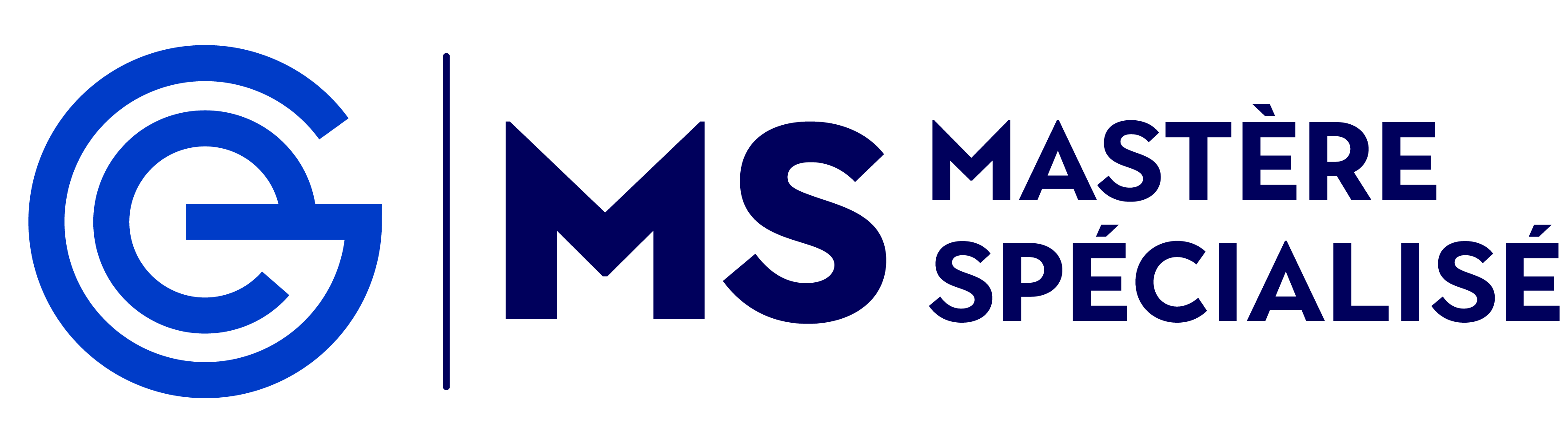Logo MS CGE